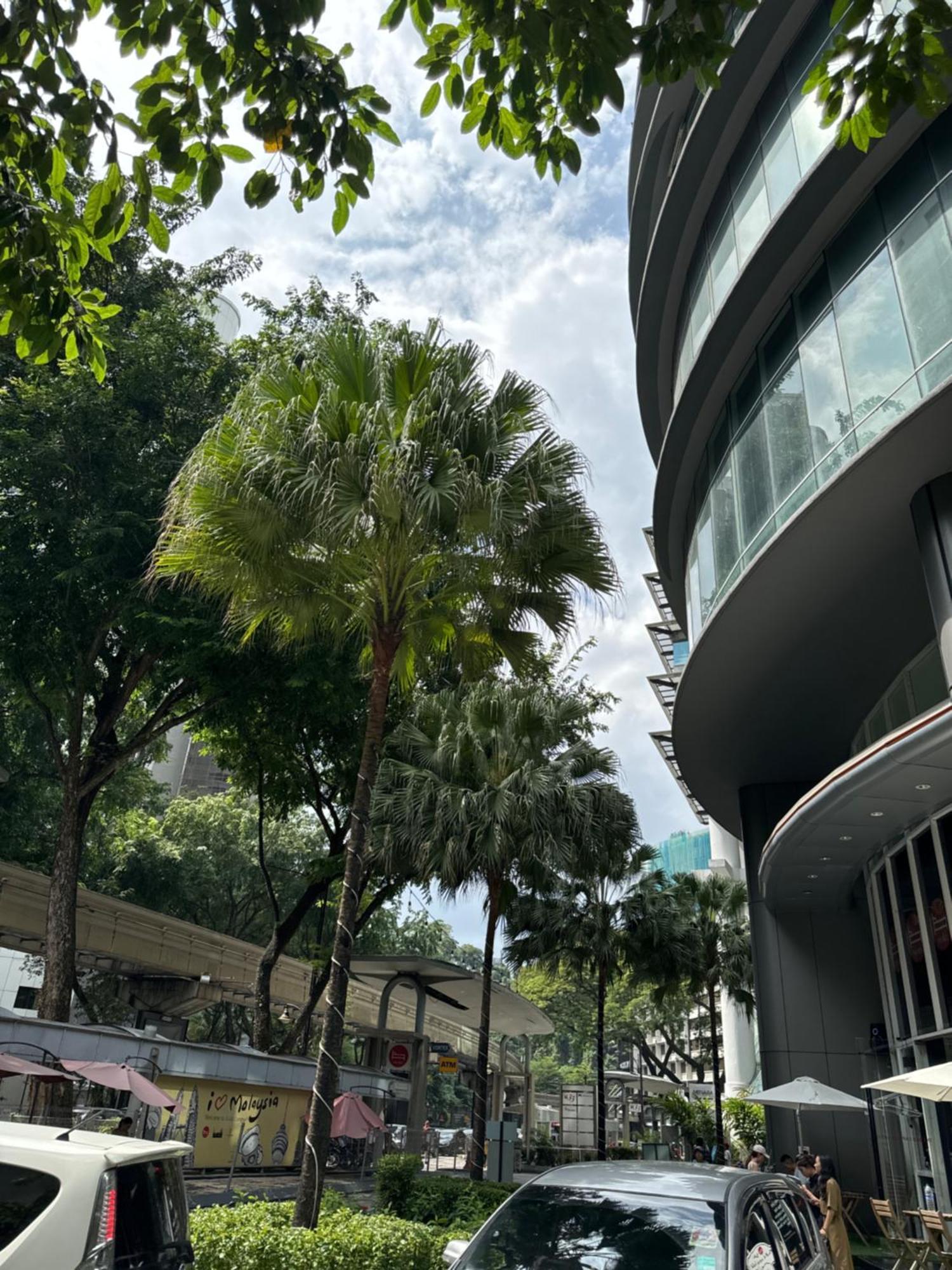 Vortex Klcc 2bedroom & 3bedroom *